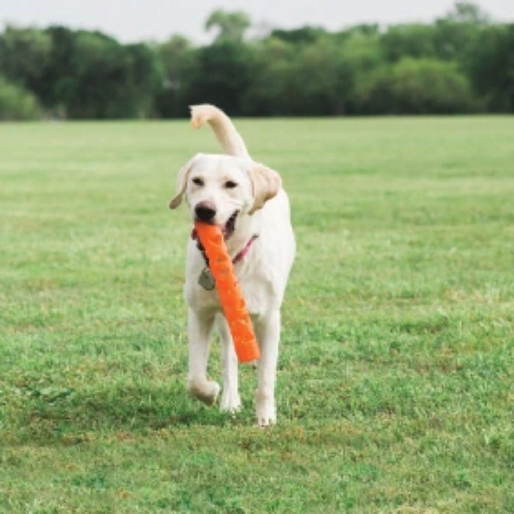 Chuckit! Breathe Right Air Fetch Dog Stick Large image