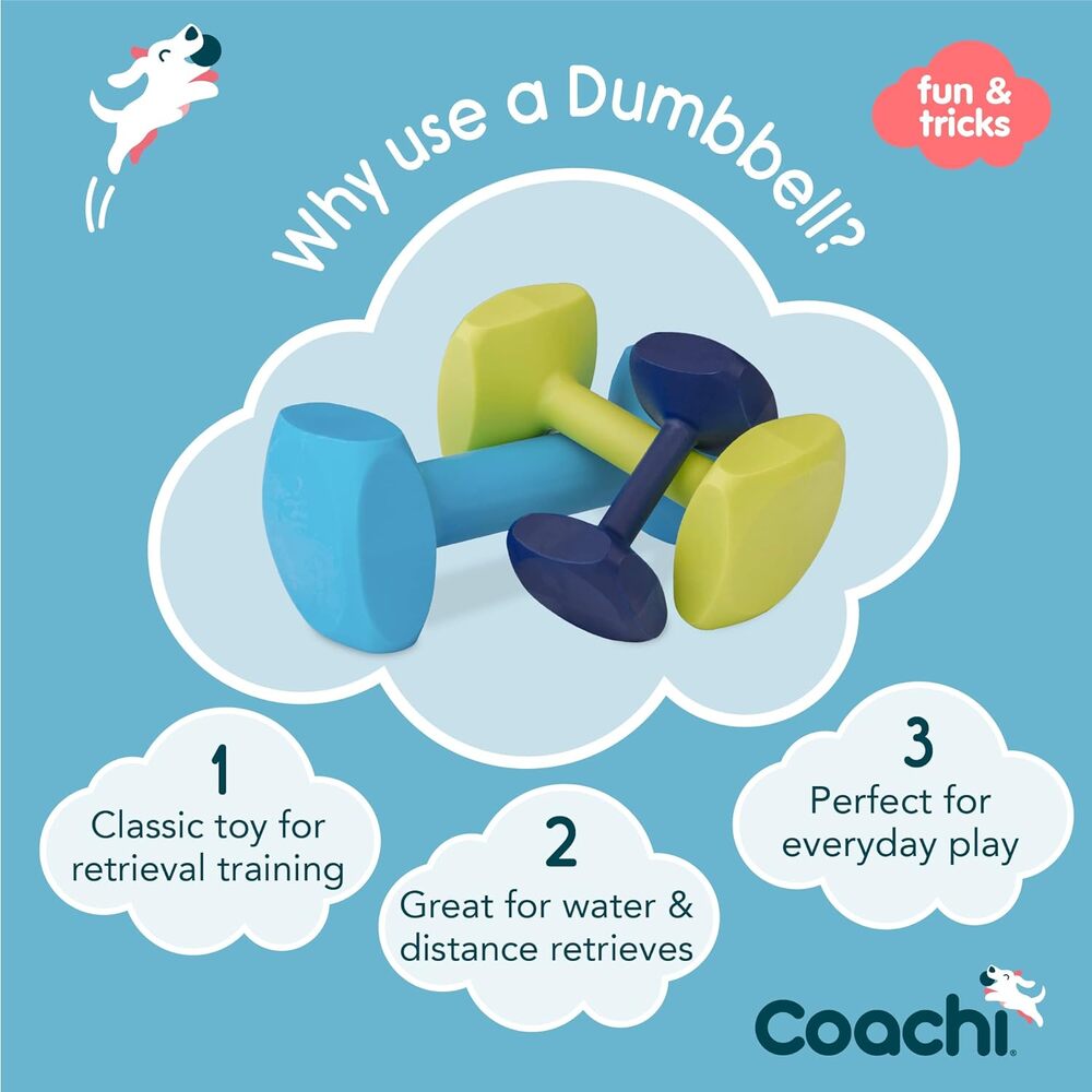 Coachi Training Dumbbell Lime Medium Dog Toy image