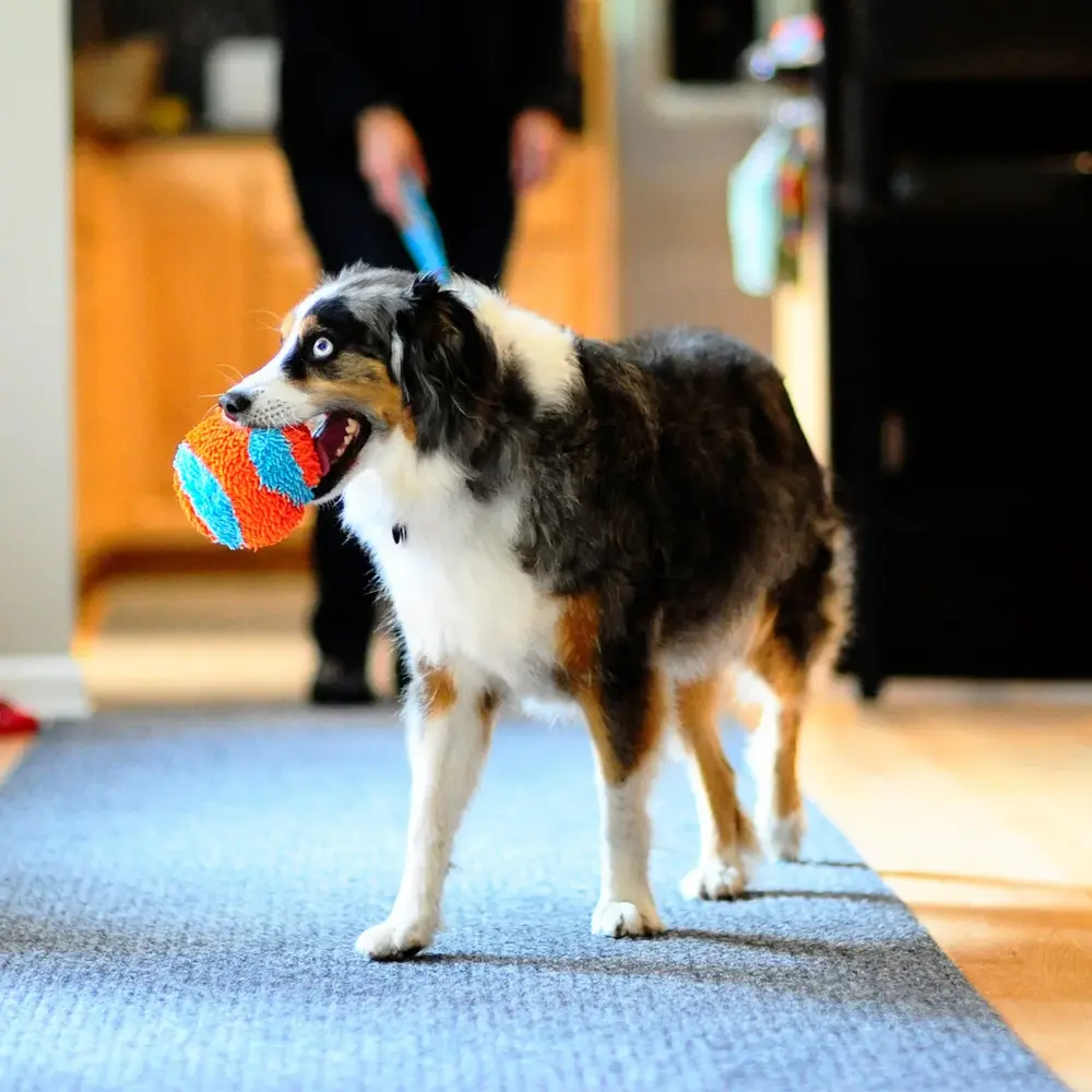 Chuckit Indoor Ball 12cm image