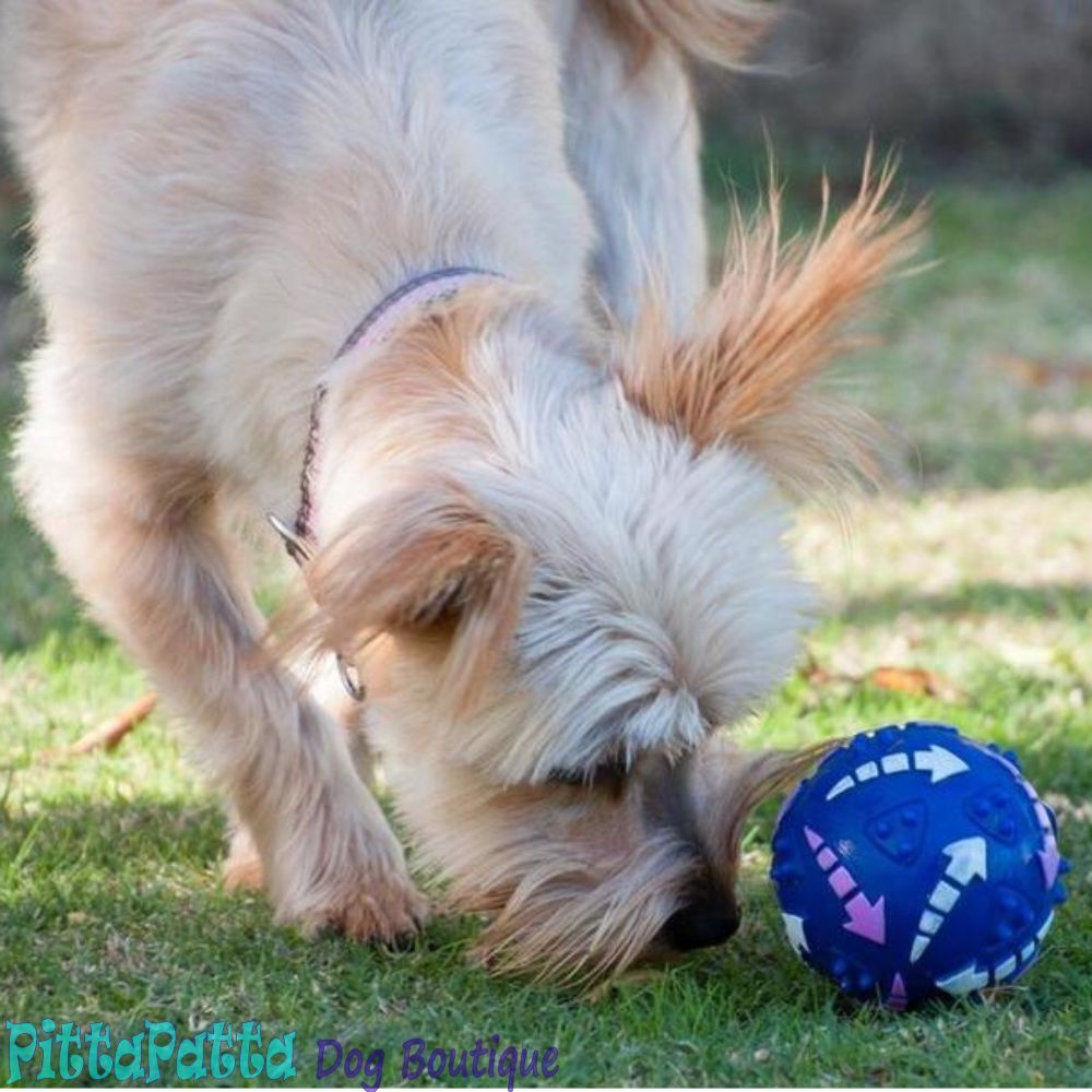 Activity Treat Ball Mini 7.5cm (Blue) image