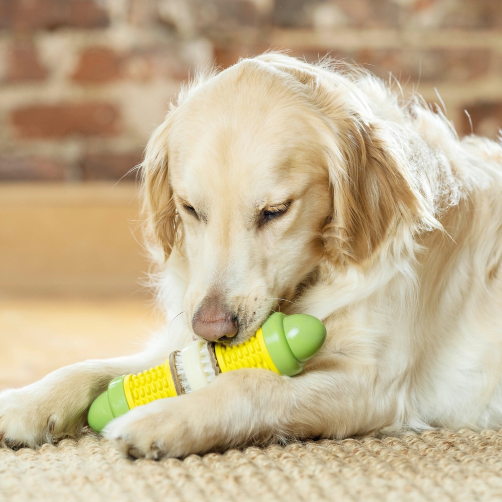 PetSafe Busy Buddy Cravin Corncob Treat Ring Sml/Med Dog Toy image