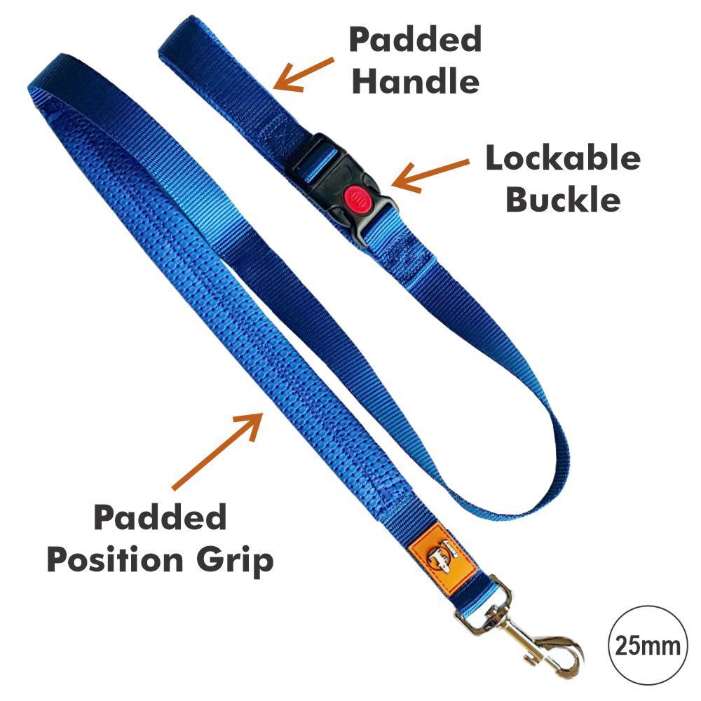 Canny CONNECT Padded Handle Dog Lead 120cm Blue (Medium/Large 25mm) image