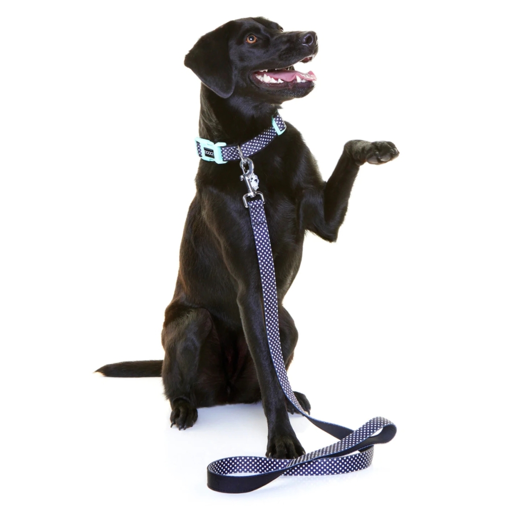 DOOG Neoprene Dog Collar Pongo (Large) image