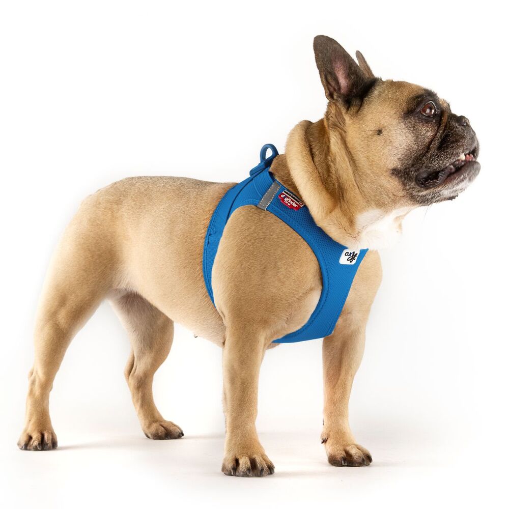 Curli Vest Air Mesh Dog Harness Blue 3XS - XL image