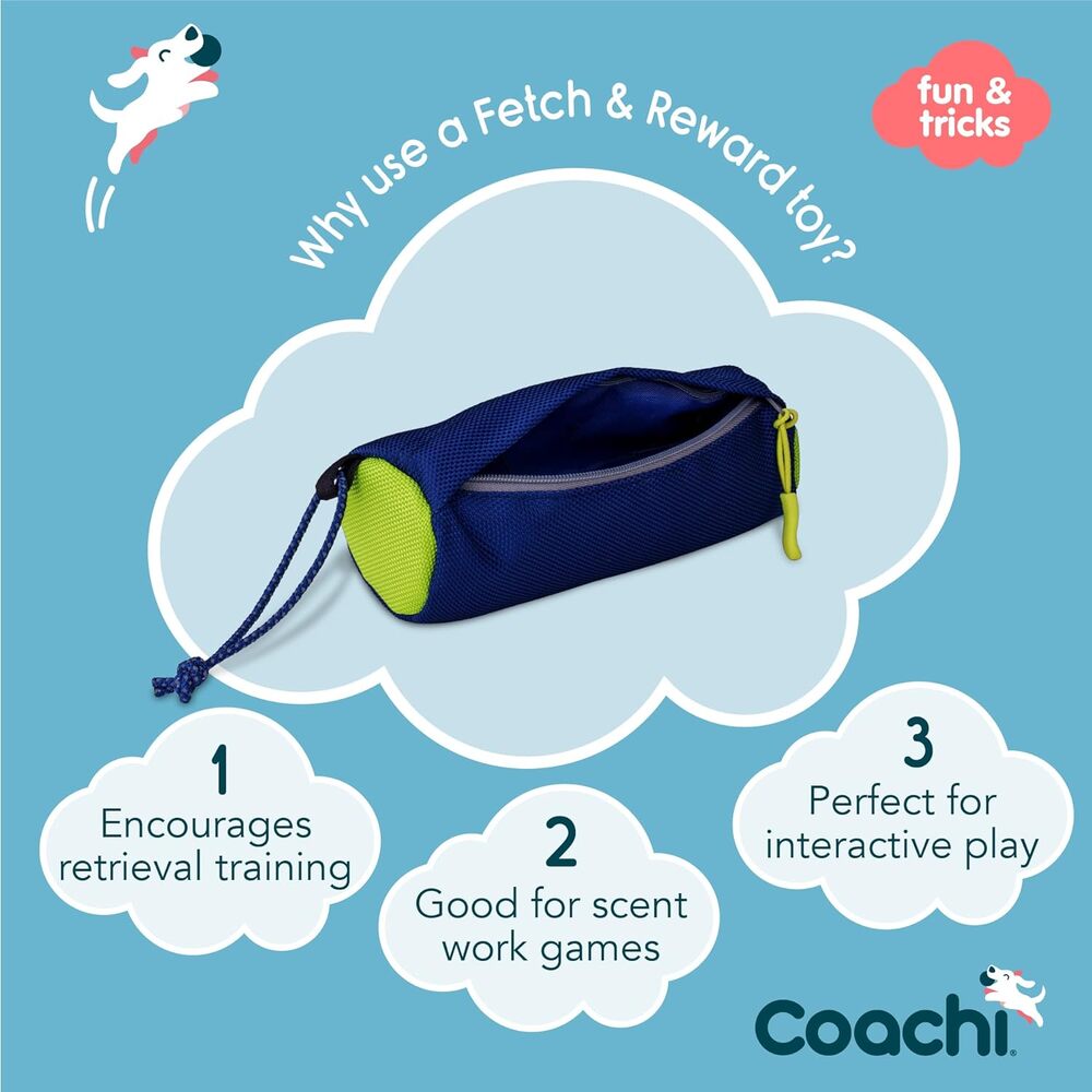 Coachi Fetch & Reward Training Dog Toy image