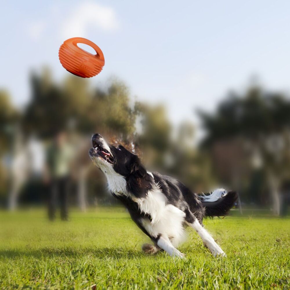 DOGGI Rugby Ball Dog Toy Small, Medium, Large image