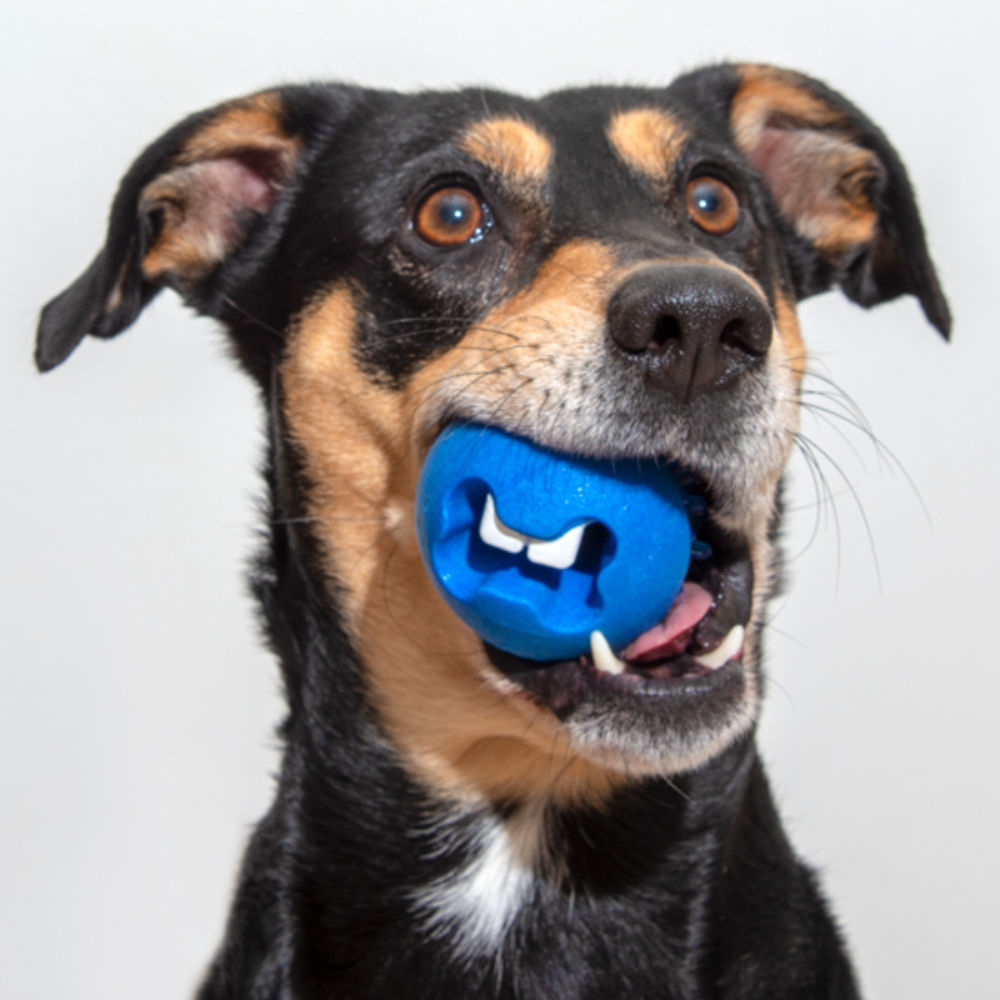 Rogz Fred Treat Dog Ball 6cm (Red) image