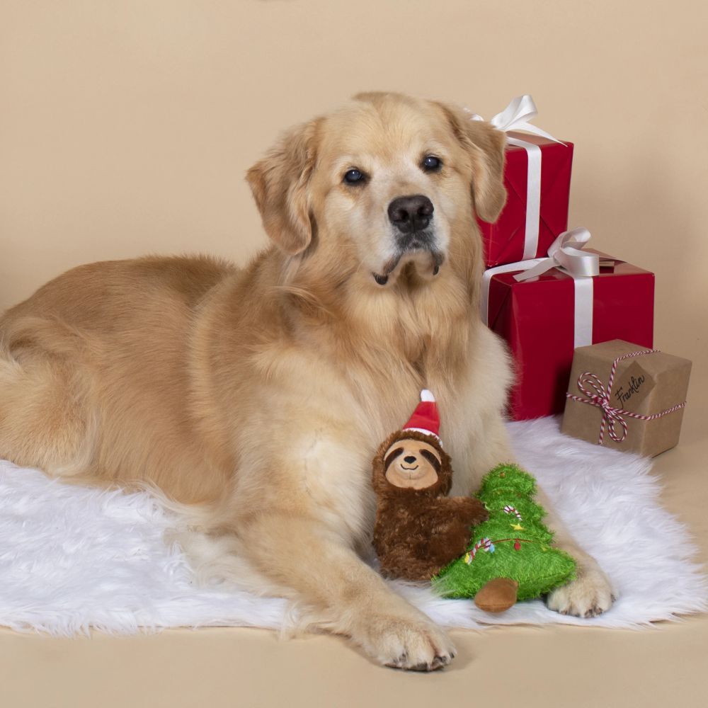 Fringe Studio Merry Slothmas Plush Christmas Dog Toy image