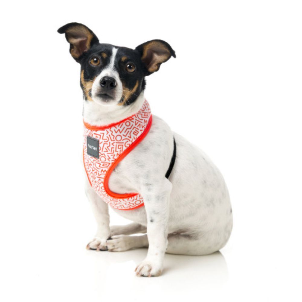 Fuzzyard Scramble Dog Harness (XLarge) image