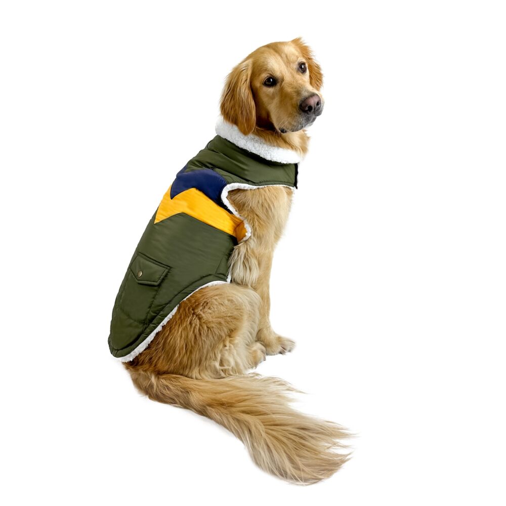 Huskimo Lightning Bolt Olive Dog Coat (27cm) image