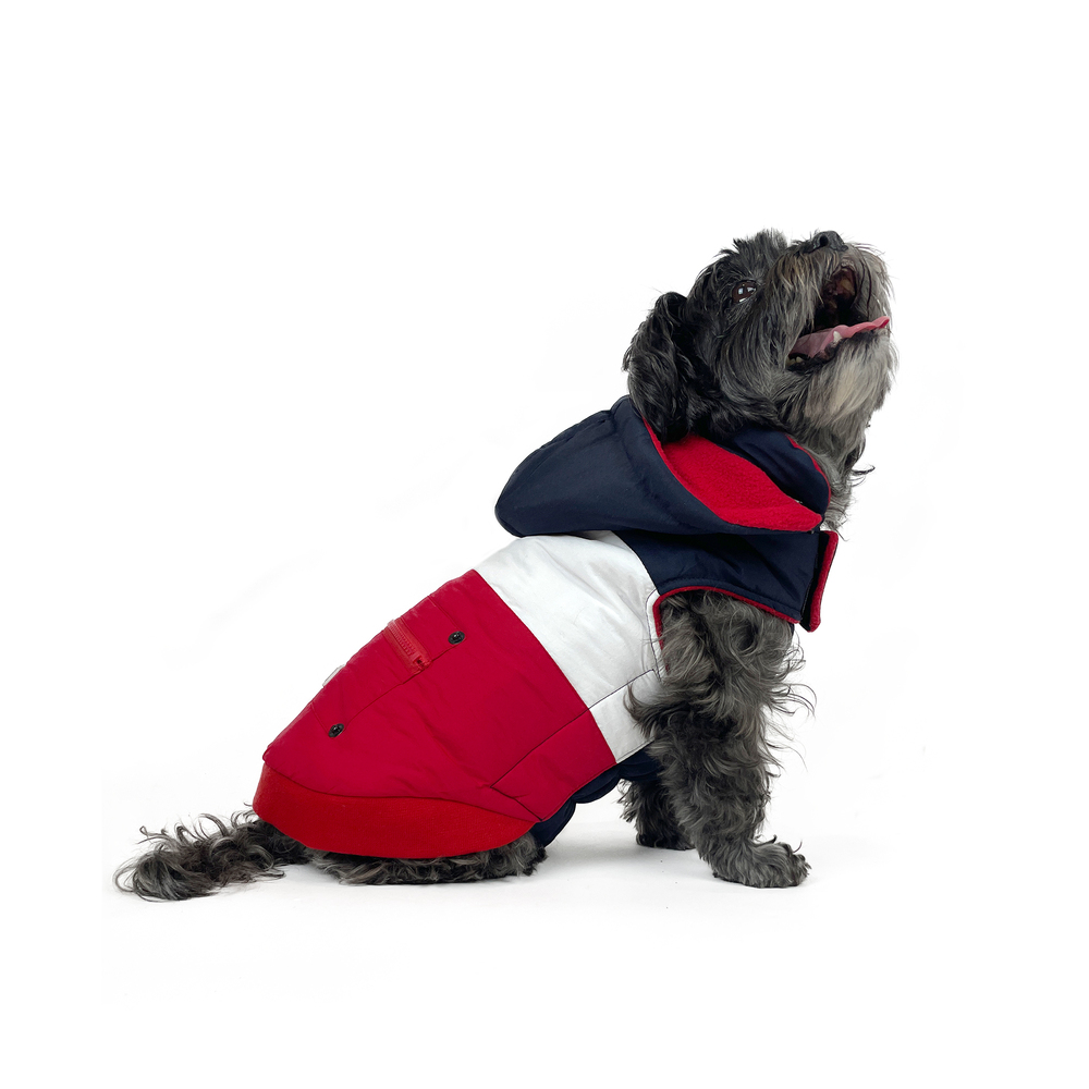 Huskimo Mt Buller Navy Red Dog Coat with Removable Hood (22cm) image