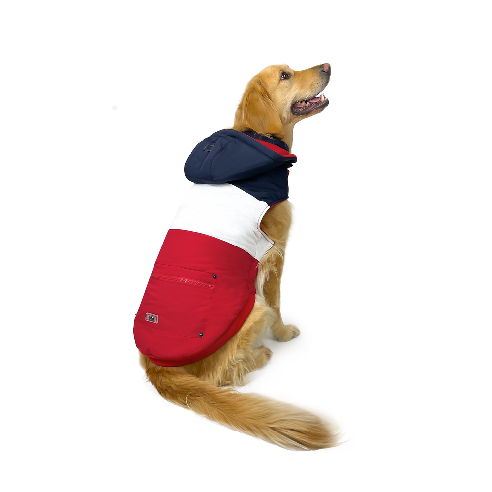 Huskimo Mt Buller Navy Red Dog Coat with Removable Hood (46cm) image