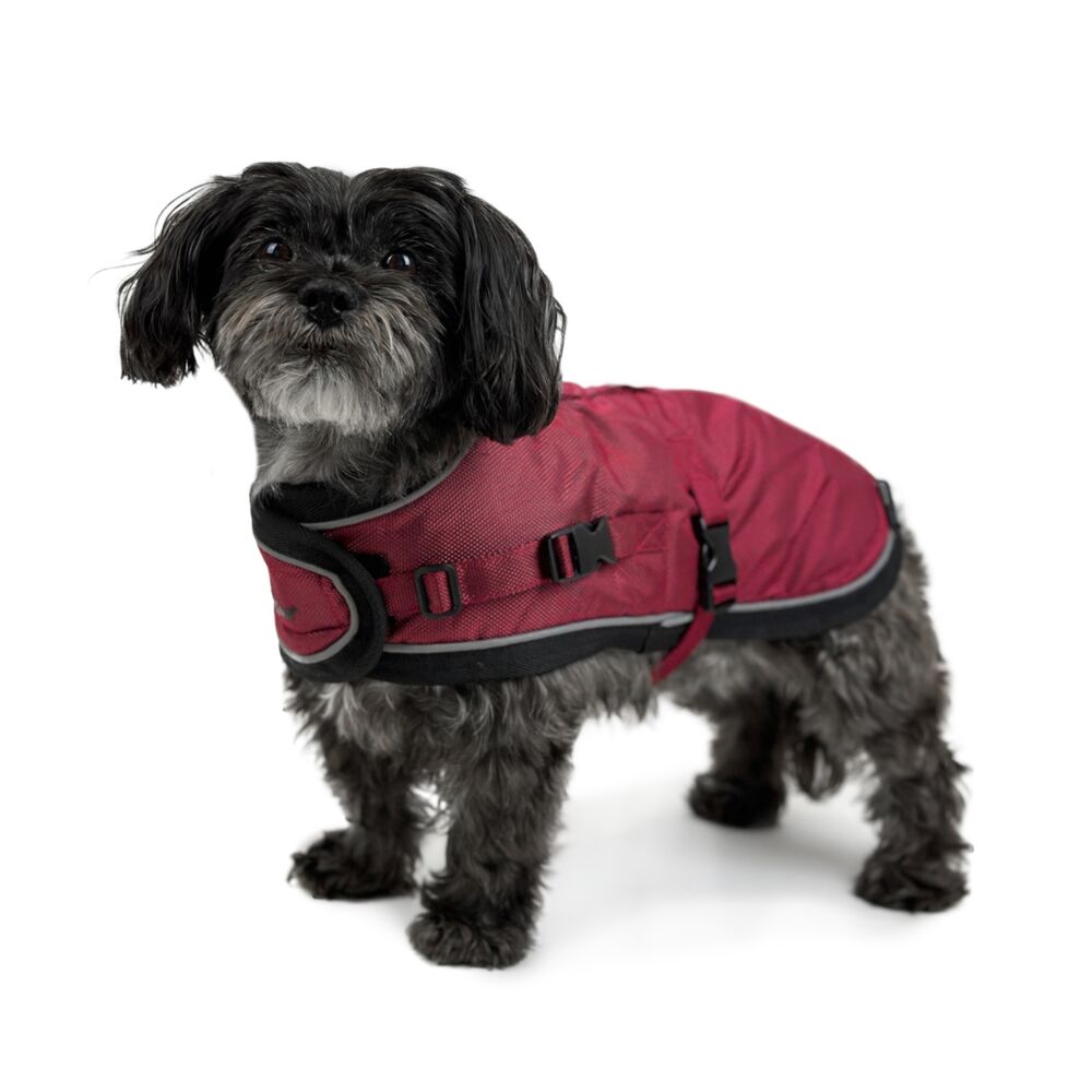 Huskimo Summit Pro Dog Coat Uluru Red (27cm) image