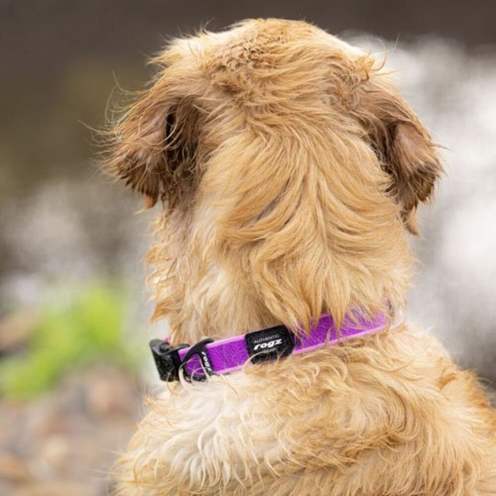 Rogz Amphibian Classic Collar Purple image