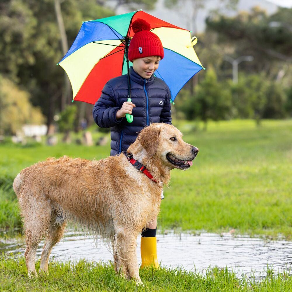 Rogz Amphibian Classic Collar Red image