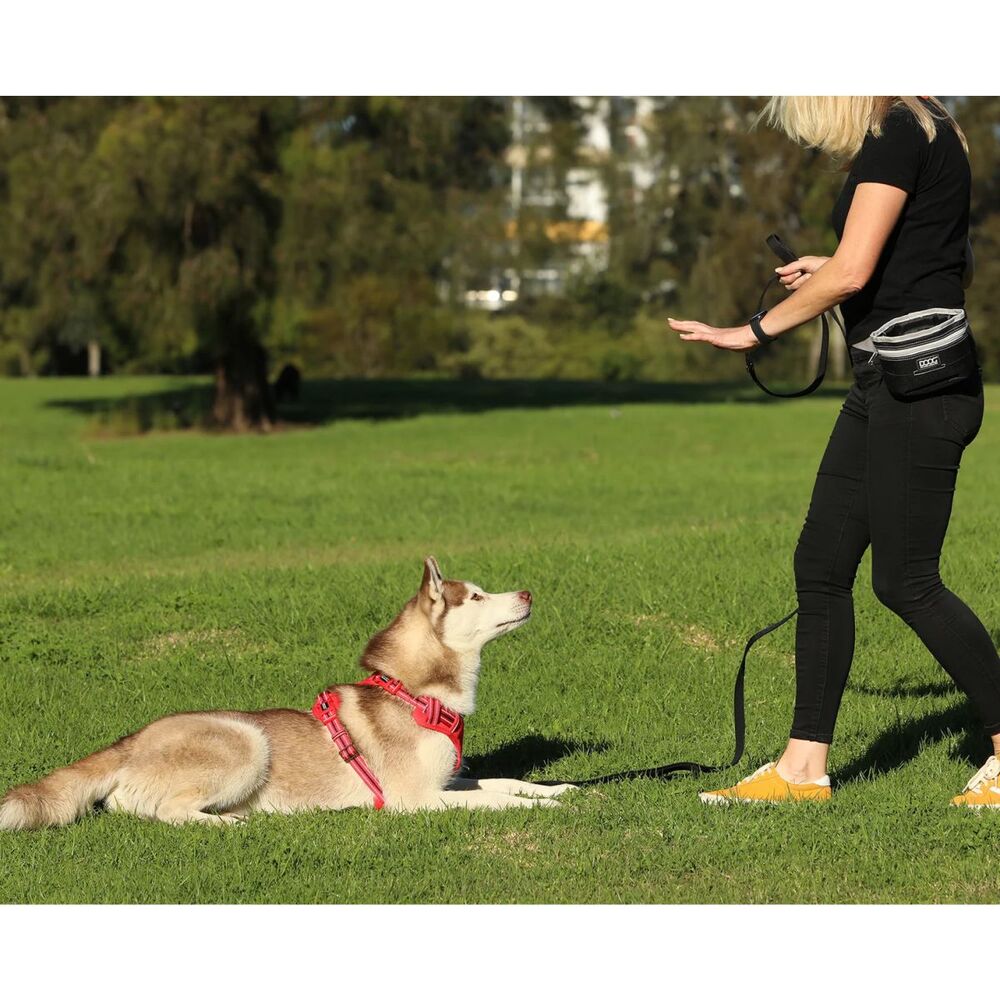 DOOG Treat Pouch with Hinge Closure Black and Grey Large  image