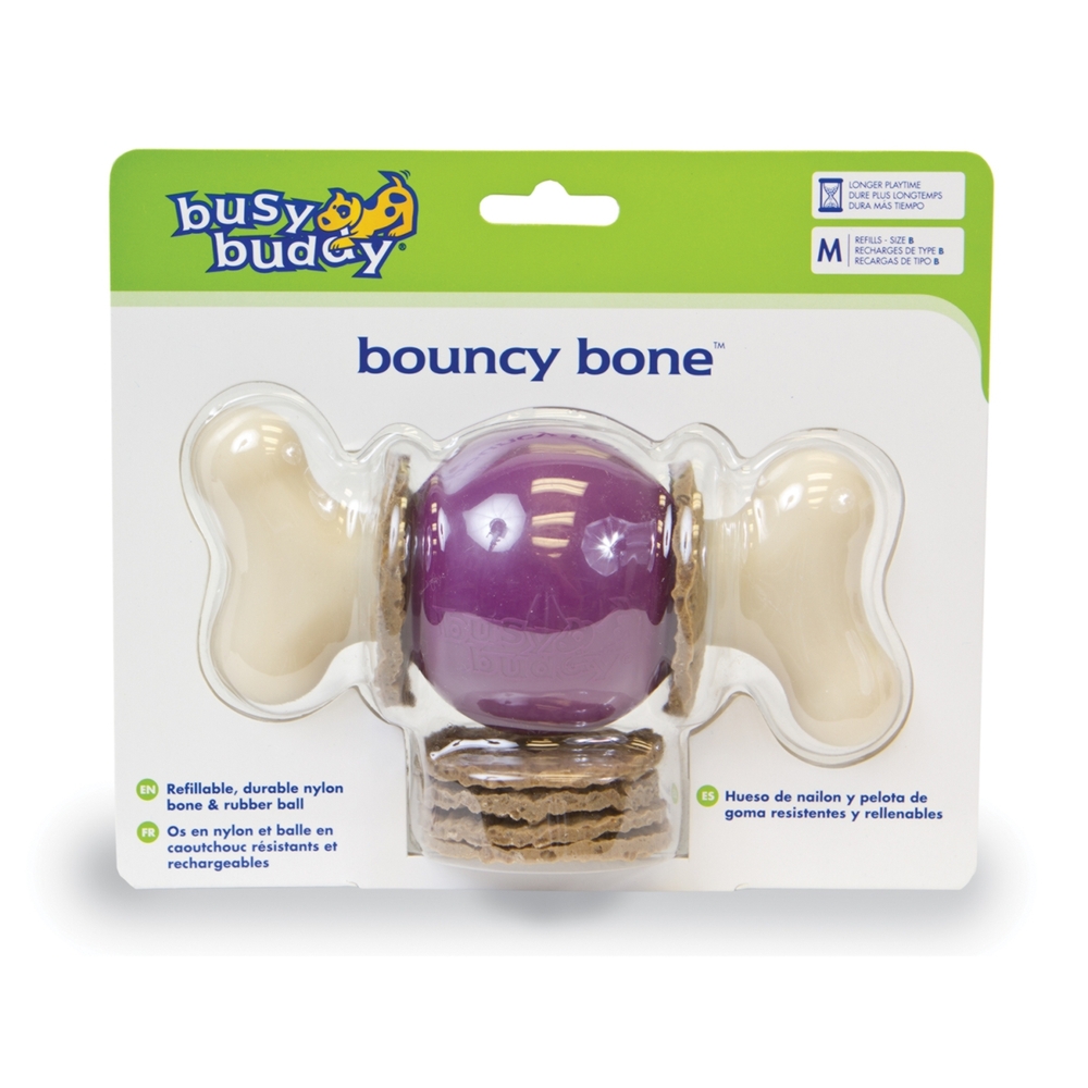 PetSafe Busy Buddy Bouncy Bone Medium Dog Treat Toy