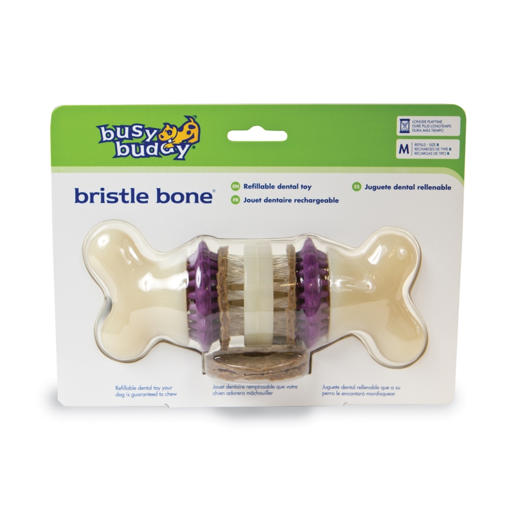 PetSafe Busy Buddy Bristle Bone Medium Dog Treat Toy