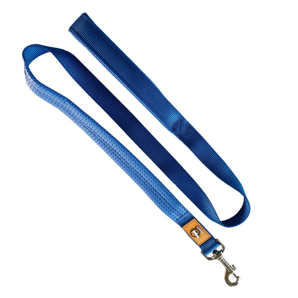 Canny Padded Handle Dog Lead 120cm Blue (Medium/Large 25mm)