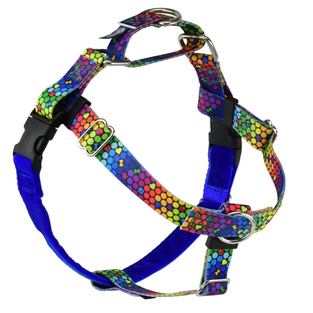 Freedom No Pull Dog Harness EarthStyle ROY G BIV (XSmall 1.6cm)